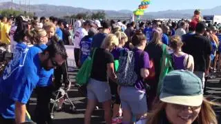 IMG 0973