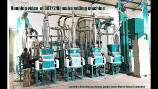 30T/24H maize mill milling machine production plant line