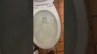 2000s American standard madera toilet unclogging and siphoning out!!!