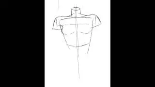 Front View Female Body Drawing ( Anatomy ) #shorts
