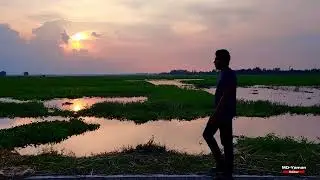 Adopt the pace of nature  I think nature's imagination is so much greater than man's, she's never go