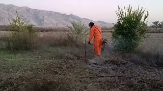 باغداری کردن صبر و حوصله و پشتکار میخواد،یه گوشه از زحمت علف زنی ببینیم با هم