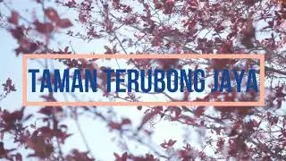 Taman Terubong Jaya (Leasehold) opp Eco Terrace, Good Condition, High Floor | Paya Terubong