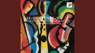 Clarinet Trio in A Minor, Op. 114: I. Allegro
