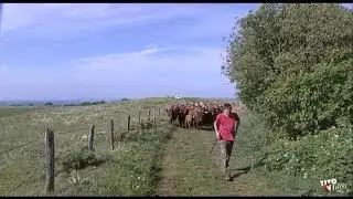 La Chanson des Bergers par les Accordéons et Cabrettes de Pailherols