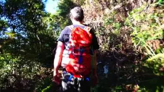 Mt Warning