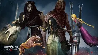 The Witcher 3 Wild Hunt Bestiary Specters Part3