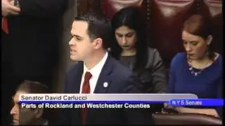 Senator Carlucci comments on the nomination of Janet DiFiore as Chief Justice