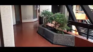 Paseo Las Palmas y Dos Providencias - Rock Shop,Collector's House,Japanimation (18-01-2024) parte 2