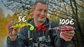 100 Euro-Hardbait vs Trouble-Shad: Welcher Köder bringt den Hecht?