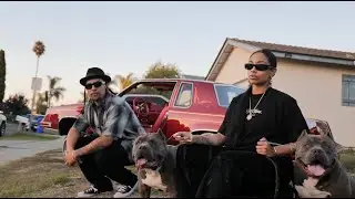 Dezzy Hollow - DIFFERENT MOOD (Official Music Video)