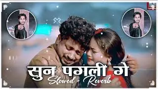 सुन पगली गे ( #Slowed + Reverb ) Maithali Sad #Lofi Song | Sun Pagli Ge Lofi Song | #youtubet_suraj