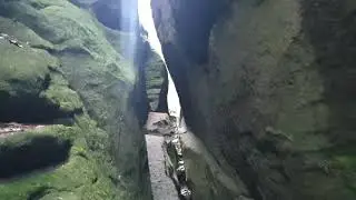 Tümpelgrund Sächsische Schweiz