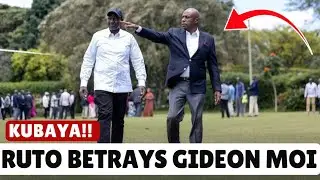 Ruto Moi Alliance Collapses: The Untold Story of Kenya&rsquo;s Failed Political Marriage