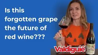 This &lsquo;Lost&rsquo; Napa Grape Is the Next Big Chillable Red | Valdigui&eacute; History and Future