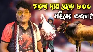 গরুর দাম বাড়লো আকরাম ভাইয়ের 🚨 মহিষের ওজন ও লাভ লস কেমন? মিরপুর ১১, আল্লার দান 