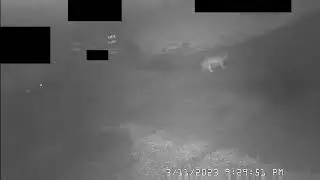 wolfwolfwolf