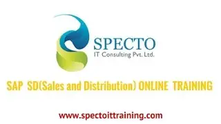 sap sd online training