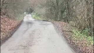 Mormane de gunoaie pe drumul forestier Conop - Nadăș