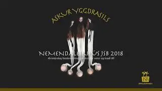 Nemendas&yacute;ning JSB 2018 - H&oacute;pur D3