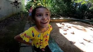 DIVERSÃO EM FAMÍLIA - conhecendo o museu com cobras onças .....