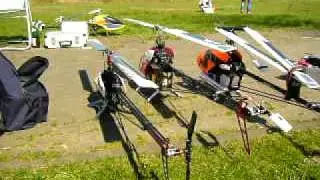 Essen  /  Hornbach  /  Flottenverband  /  RC Hubschrauber