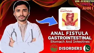 Anal Fistula | Gastrointestinal Disorders | Adult Health Nursing I | BSN 3rd Semester | Unit 1