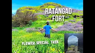 RATANGAD FORT: Flower  Special Trek/ The Blooming Season