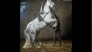 Photo shoot Domaine Equestre de Stambach