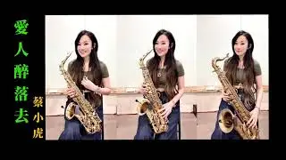 愛人醉落去-Saxruby(Cm key)