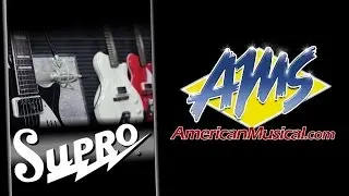 Supro David Koltai Interview - AMS Exclusive Interview