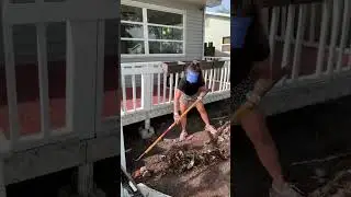 22- i have ptsd after seeing that :/ #kitchendemo #kitchenremodel #ratinfestation#storytime#shorts