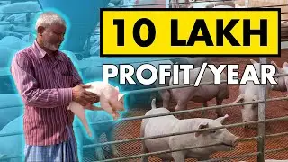 Farmers Success Story | Integrated PIG - FISH and TRADITIONAL CROPS Farming System