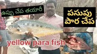 How to make salt dry fish// yellow para fish cutting// sea fish