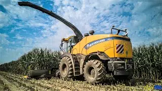 NEW HOLLAND FR850 Yellow Bull + testata KEMPER 10 file | Trinciato Mais 2019 | Team Bovo | 4K UHD