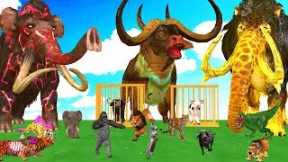 5 Mammoth Elephant Cow Gorilla vs 5 Giant Tiger Lion Attack Baby Cow Cartoon Saved By Woolly Mammoth