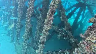 Hurghada #underwater #egypt Diving 🦪🤿🤿, #Luxor #travelEgypt