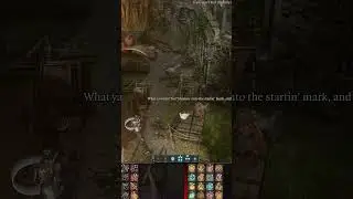 Chicken Chase Extraordinaire Reward in #bg3 #baldursgate3 #baldursgate