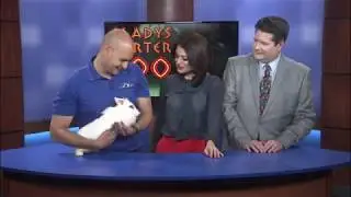 ZOO GUEST OF THE WEEK 