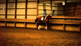 Risque MFM - For Sale 2007 Hanoverian Mare by Rienzi