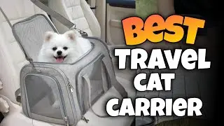 TOP 3:✅BEST CAT TRAVEL CARRIER for CAT 2025-2027 #catcarrier #cattravel  #travelcat #petcarrier #cat