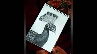 Realistic peacock #artvideo #drawingmagic #realism @STARTCREATE_123