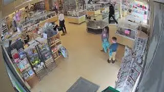 Thieves steal bulldog puppies from Colorado store in broad daylight