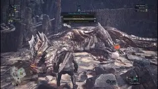 Geralt's adventures in the World of Monster Hunter : Kushala Daora