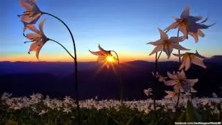 Madonna - Ray Of Light (InFiction 'Morning' Remix)