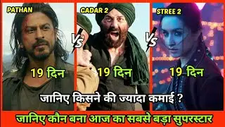 Pathan Vs Gadar 2 Vs Stree 2 Collection, Stree 2 Collection Worldwide, Stree 2 Box Office Collection
