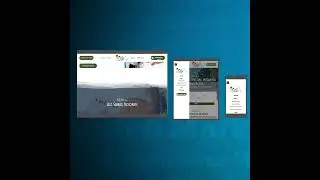 Travel agency website designer.