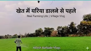 Khet Mein Urea Daalne Se Pehle | Real Farming Life | Village Vlog