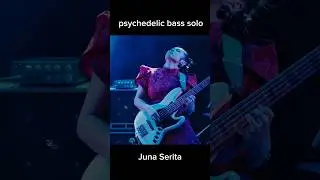 Psychedelic Bass Solo