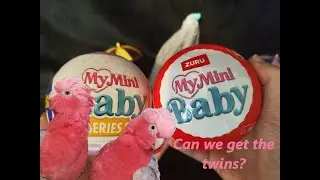 Zuru My Mini Baby Valentine's Day & Series 2 - Can we get the twins?